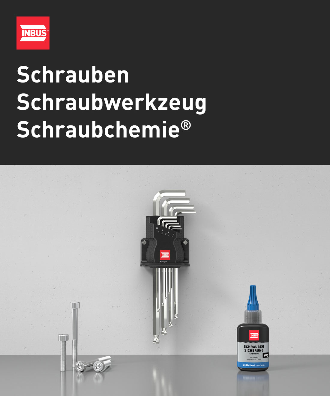 INBUS® 75848 Winkelschraubendreher (ISO 2936) 0.7mm, 100 Stück — Made in Germany
