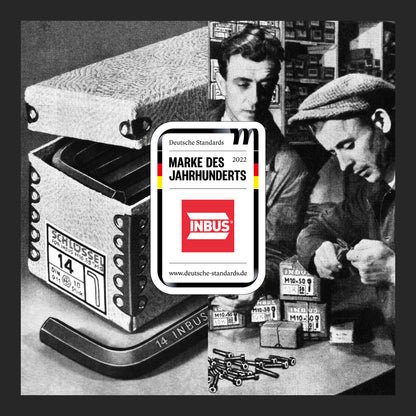 INBUS® 79863 Schraubendreher Set 6tlg, 2.5–8mm, mit Kugelkopf & HybridTouch